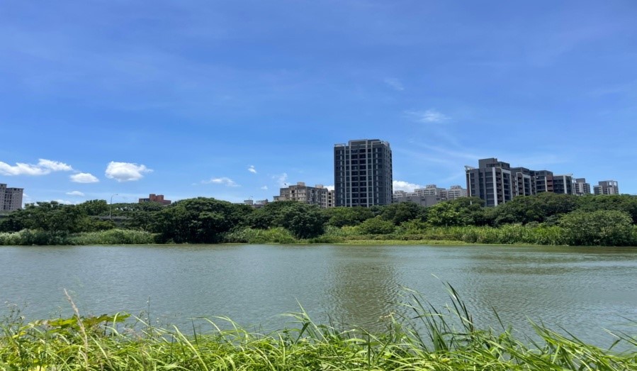 大圖