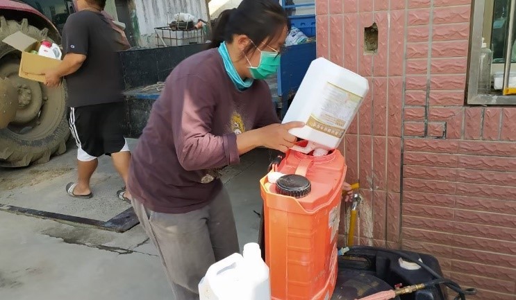 大圖