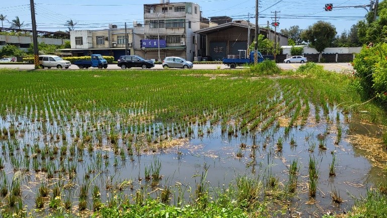 小圖共3張，pic3
