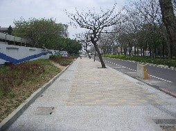 小圖共3張，pic2