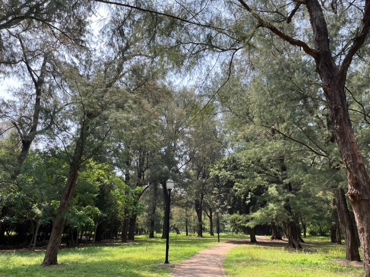 南寮環保公園小圖共4張，pic3