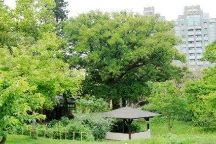 新竹市受保護樹木及綠資源認養計畫1大圖