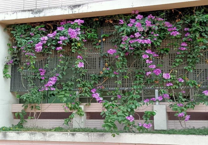 小圖共7張，pic3