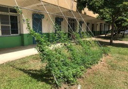 小圖共7張，pic5