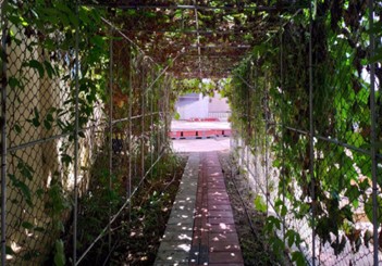 小圖共7張，pic6
