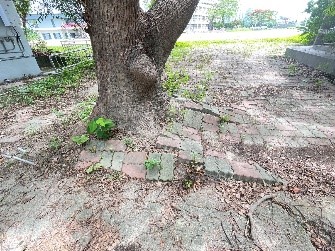小圖共4張，pic3