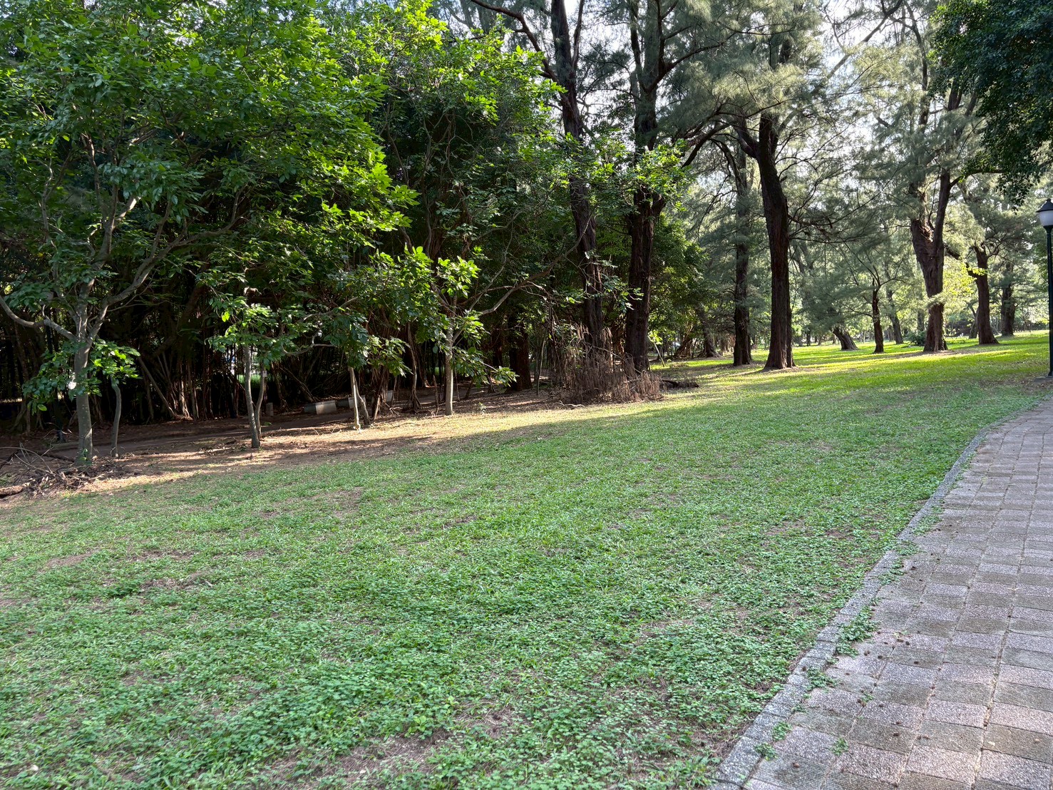 小圖共8張，pic2