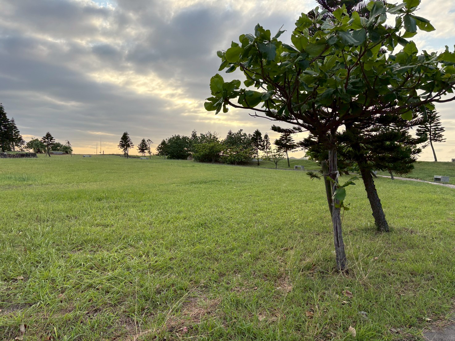 小圖共8張，pic3