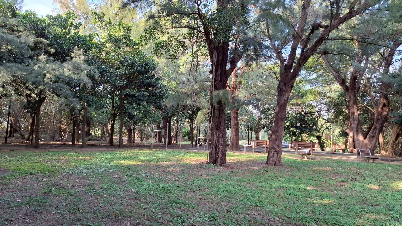 小圖共8張，pic4