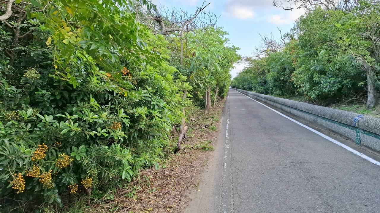 小圖共8張，pic5