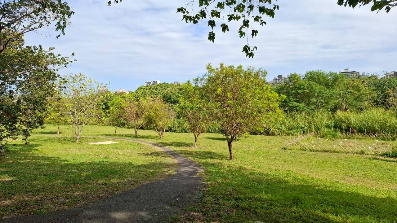 小圖共8張，pic6