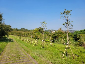 青青草原（植樹完成後）小圖共3張，pic2