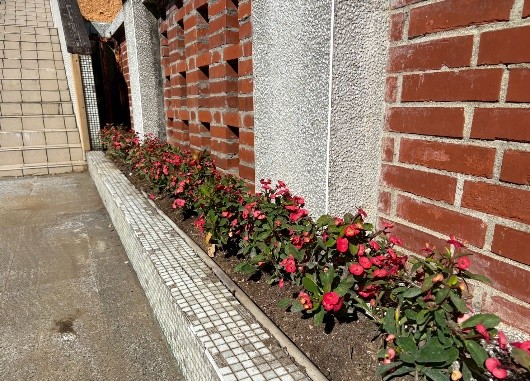 小圖共4張，pic2