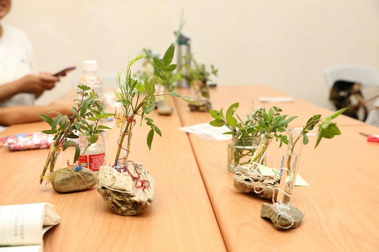 新竹市食物森林上演「植物變裝秀」 探索親子自然關係小圖共6張，pic4