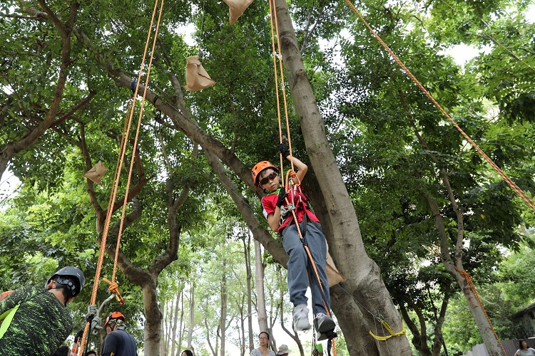 「都市小泰山」攀樹活動 孩童玩樂札根環境教育小圖共6張，pic3