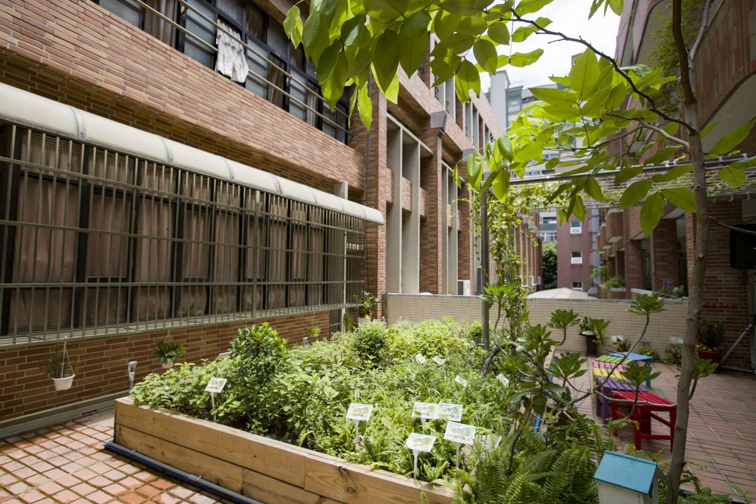 竹市綠屋頂改造計畫開跑 補助歷年最高邀市民打造城市森林小圖共6張，pic6