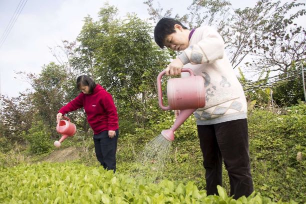 市府攜手慢飛兒天使散佈愛 暖心加菜有機防疫便當大圖