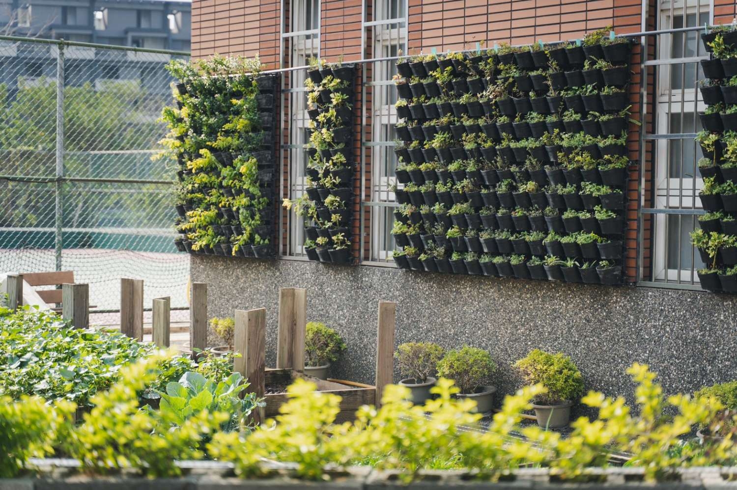 建築綠化有成！ 新竹市打造85處城市森林小圖共6張，pic2