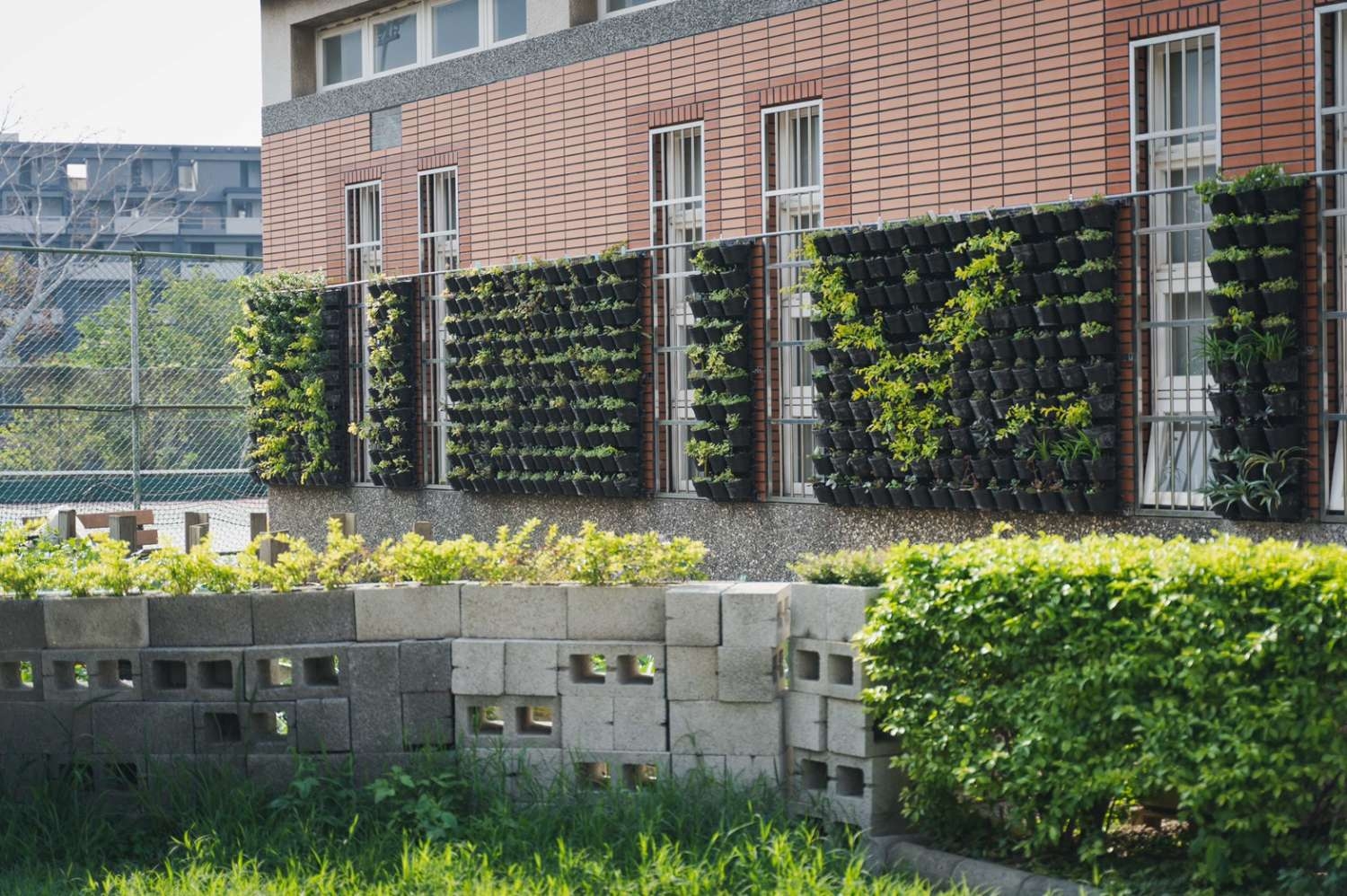 建築綠化有成！ 新竹市打造85處城市森林小圖共6張，pic3