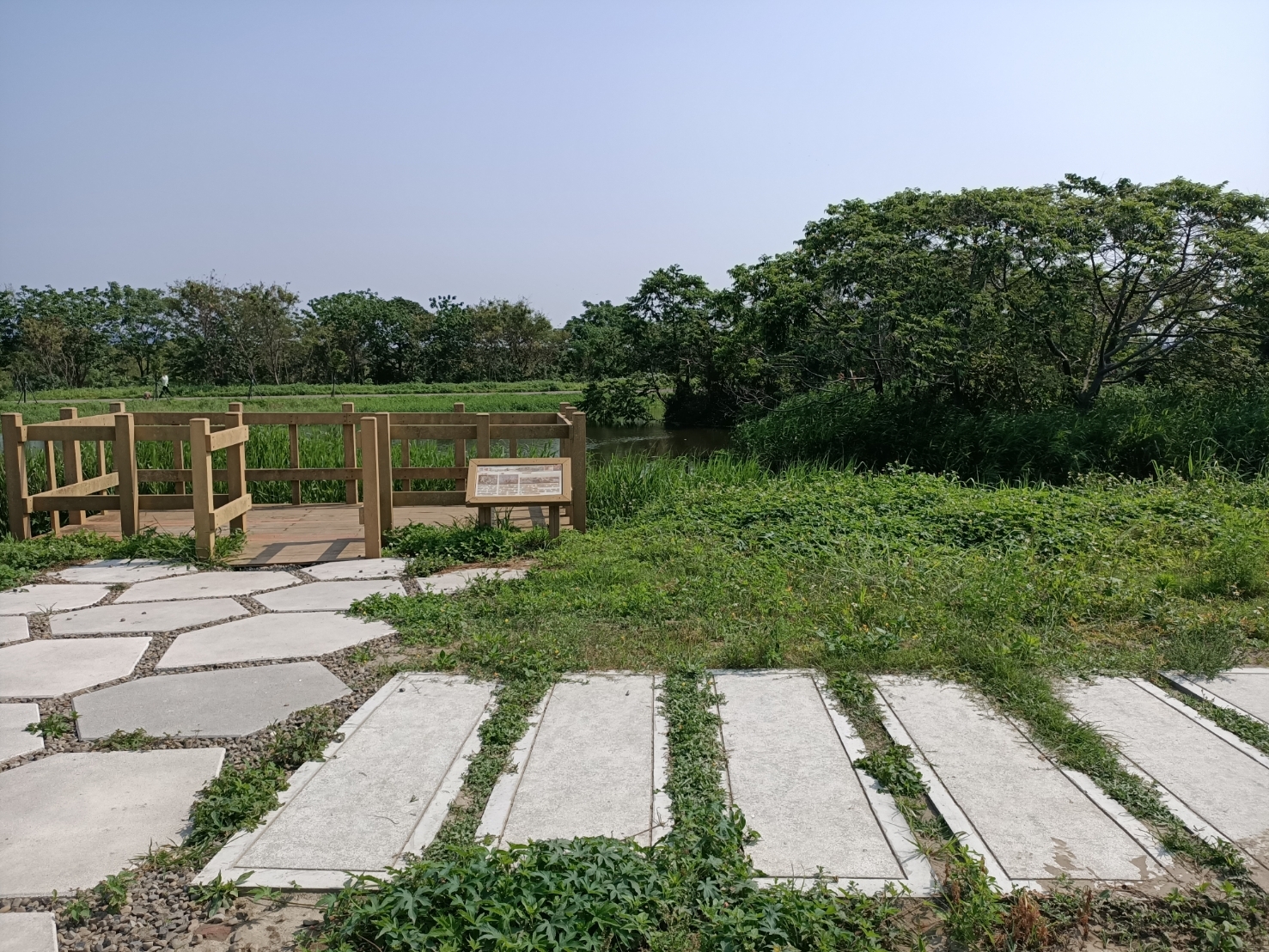 新竹左岸濕地增步道、生態解說平台　市長林智堅：連假來趟生態自行車之旅小圖共6張，pic3