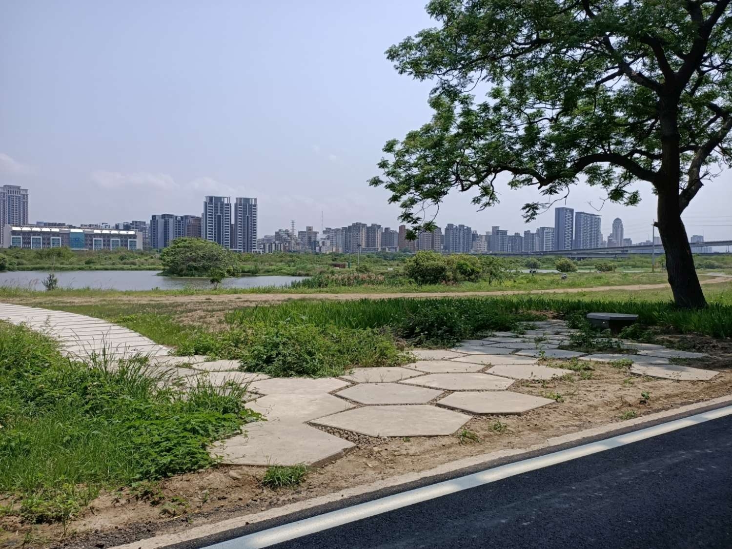 全國唯一雙獎肯定！竹市微笑水岸囊括第四屆「金蘋果獎」雙大獎 左岸生態環境棲地改善、17公里海岸線環境再生獲NGO力讚小圖共6張，pic4