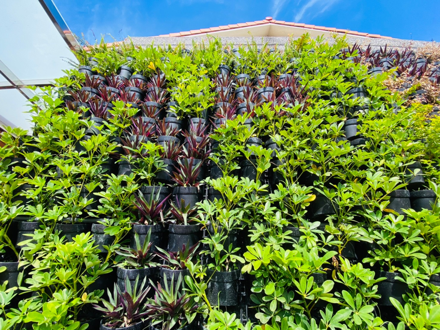 竹市推動低碳永續家園又獲佳績  北區取得銅級認證小圖共6張，pic2