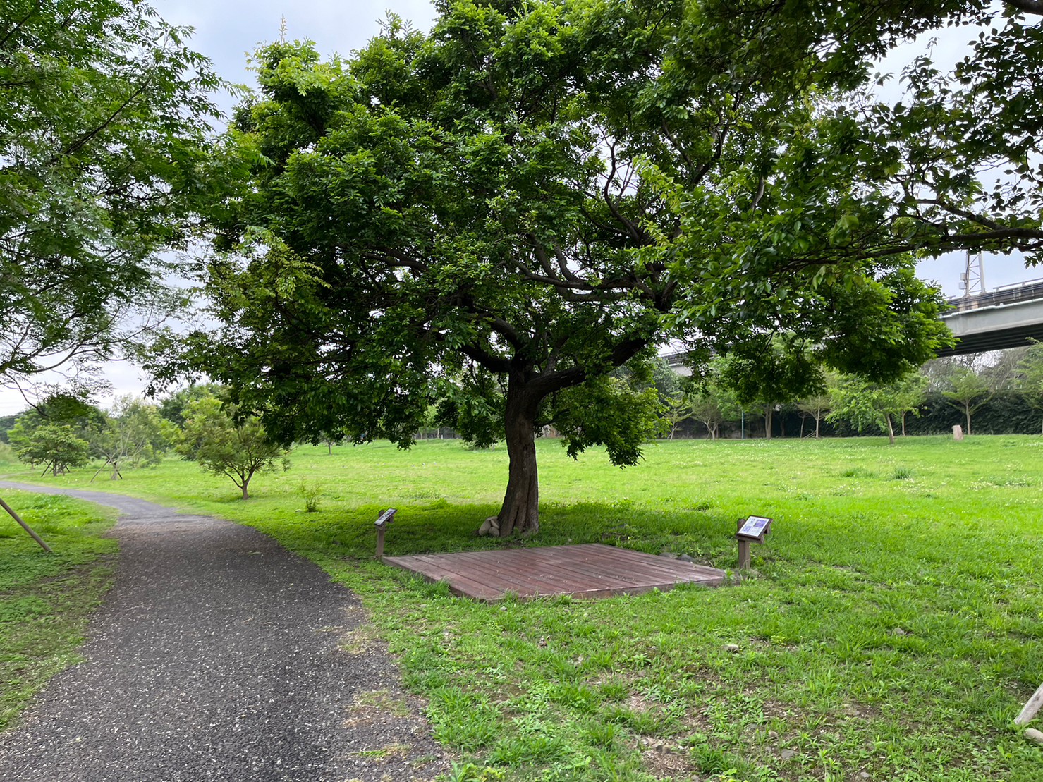 竹市推動空品淨化區認養有成首獲推廣績優獎！千甲段與環保自行車道空品淨化區認養單位蟬聯獲獎小圖共6張，pic5