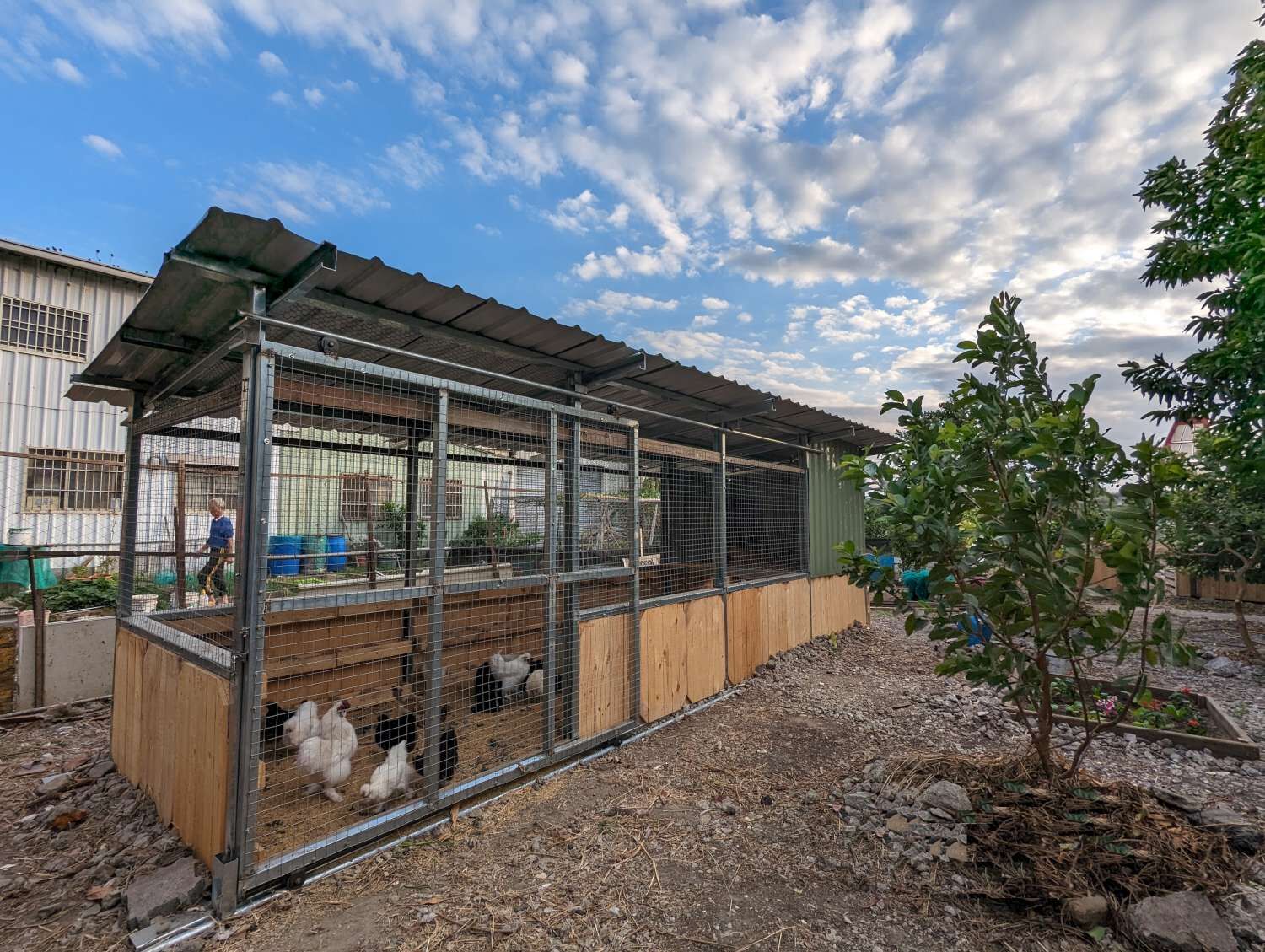 非農地拒用除草劑　竹市舊港基地「堆肥拖車」養雞也可做堆肥小圖共6張，pic2