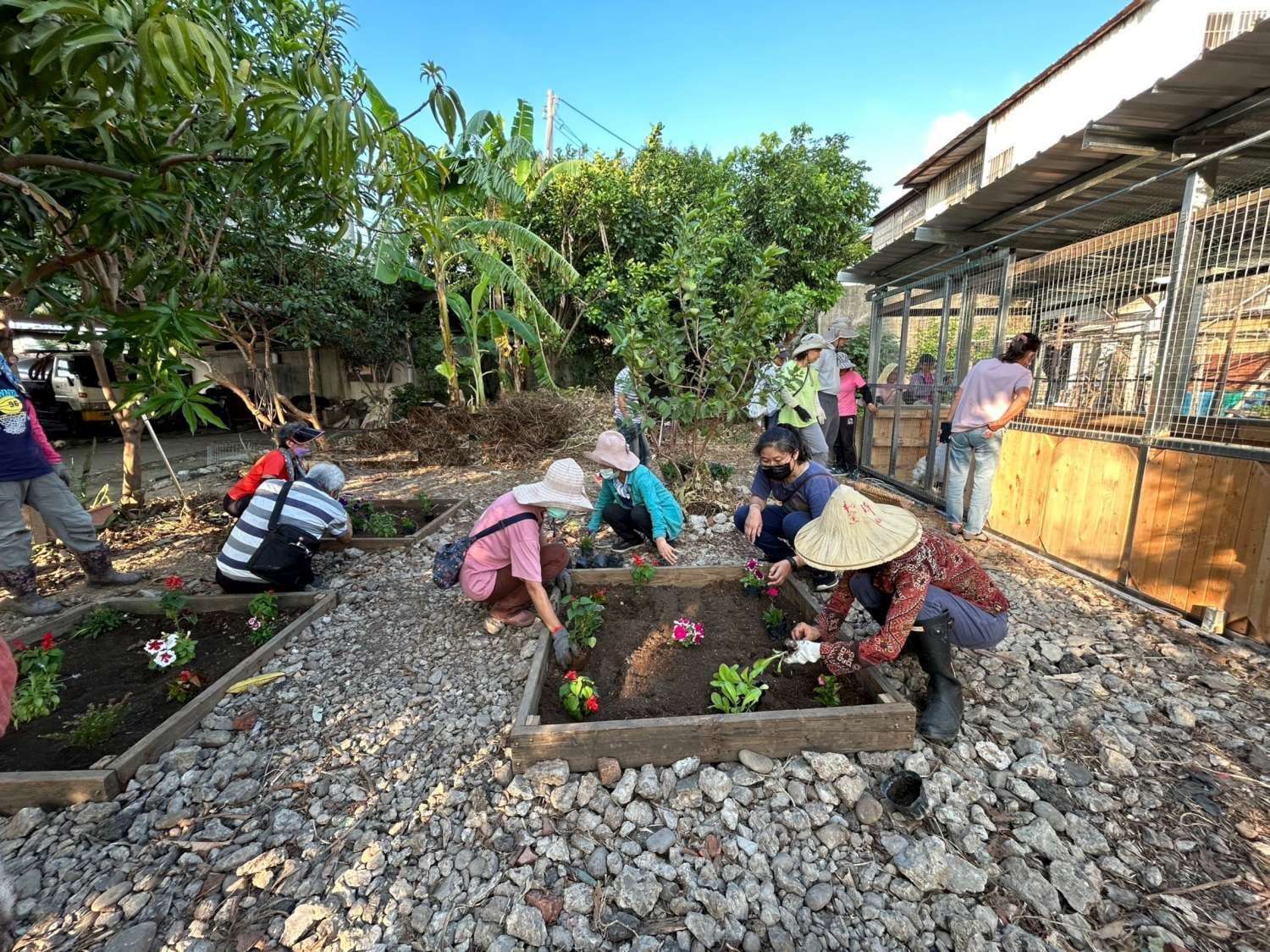 非農地拒用除草劑　竹市舊港基地「堆肥拖車」養雞也可做堆肥小圖共6張，pic6