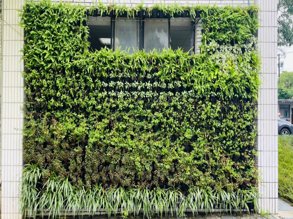 打造低碳永續城！113年新竹市建築綠化降溫補助開跑  截止日期6月28日小圖共6張，pic3