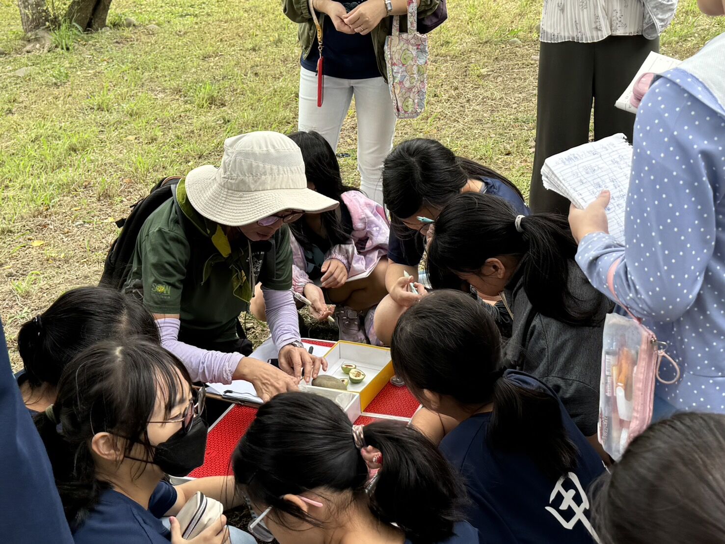 千甲空品淨化區獨角仙回來了！竹市辦環境走讀活動 培養學童永續意識小圖共6張，pic5