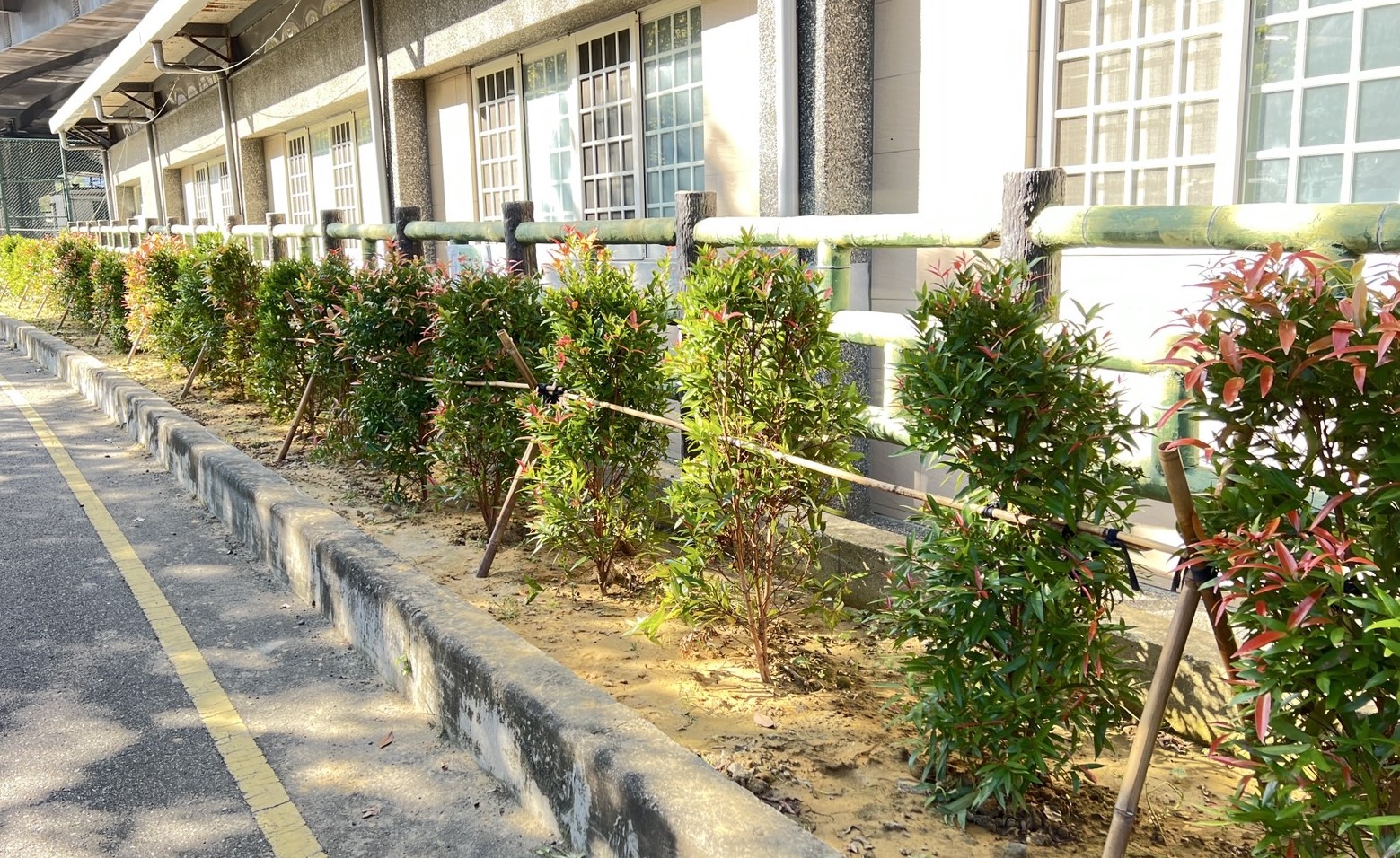 竹市推動因地制宜補助改造有成 邱臣遠代理市長：持續落實低碳永續家園小圖共6張，pic2