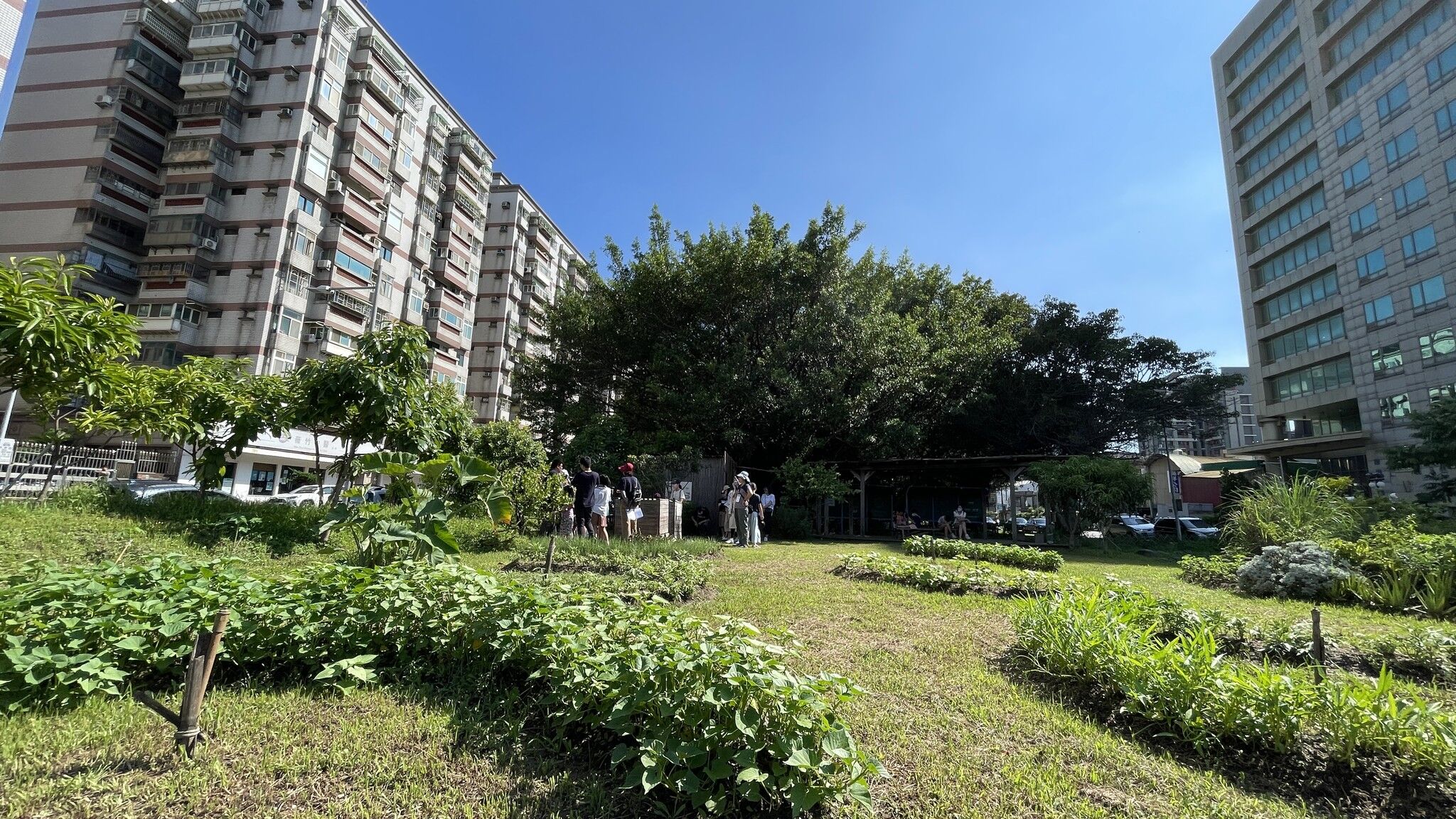 竹市府表揚113年度獲環境部低碳永續家園評等認證區里 邱臣遠代理市長：共築宜居永續城市小圖共6張，pic6