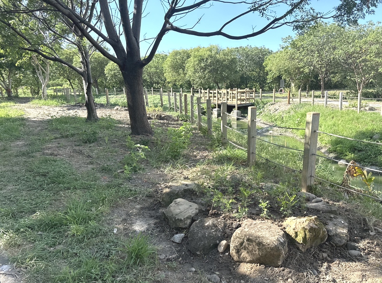 溪埔子人工濕地蝴蝶復育展成果　邱臣遠代理市長肯定志工永續力小圖共6張，pic3