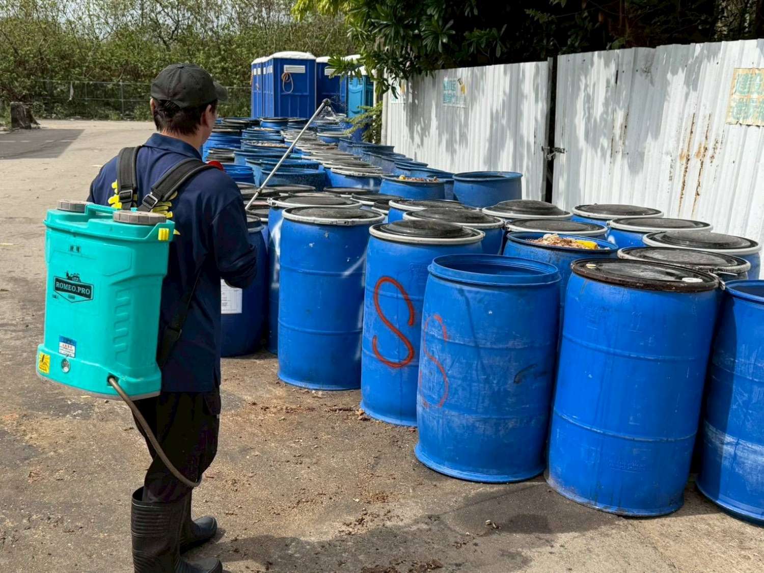 推動廚餘養豬轉型 高虹安市長：完善管理機制、建置黑水虻廚餘處理廠房小圖共6張，pic4