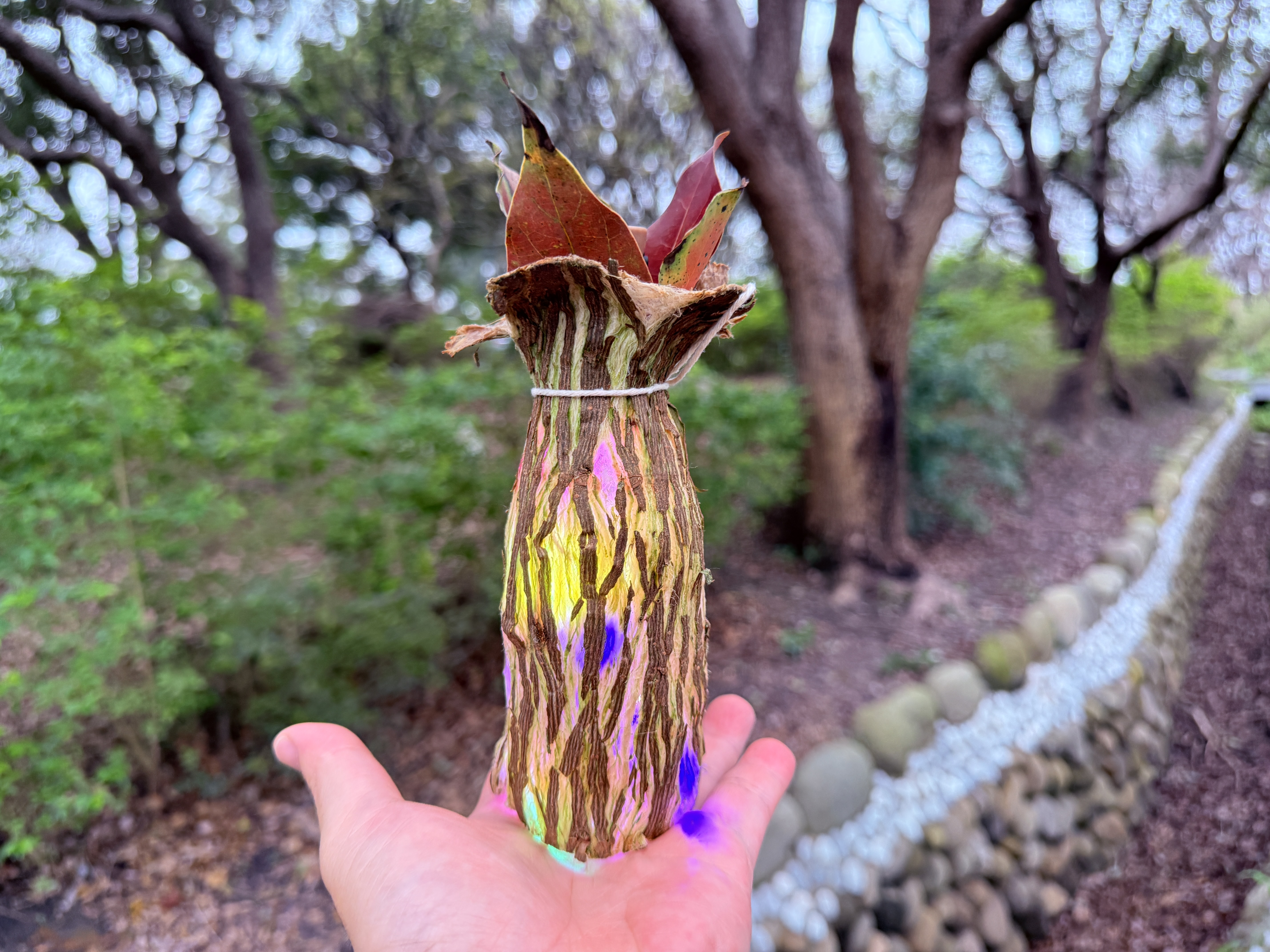 落實氣候行動、倡議永續發展！竹市首場氣候變遷市民學堂舊港登場小圖共6張，pic3