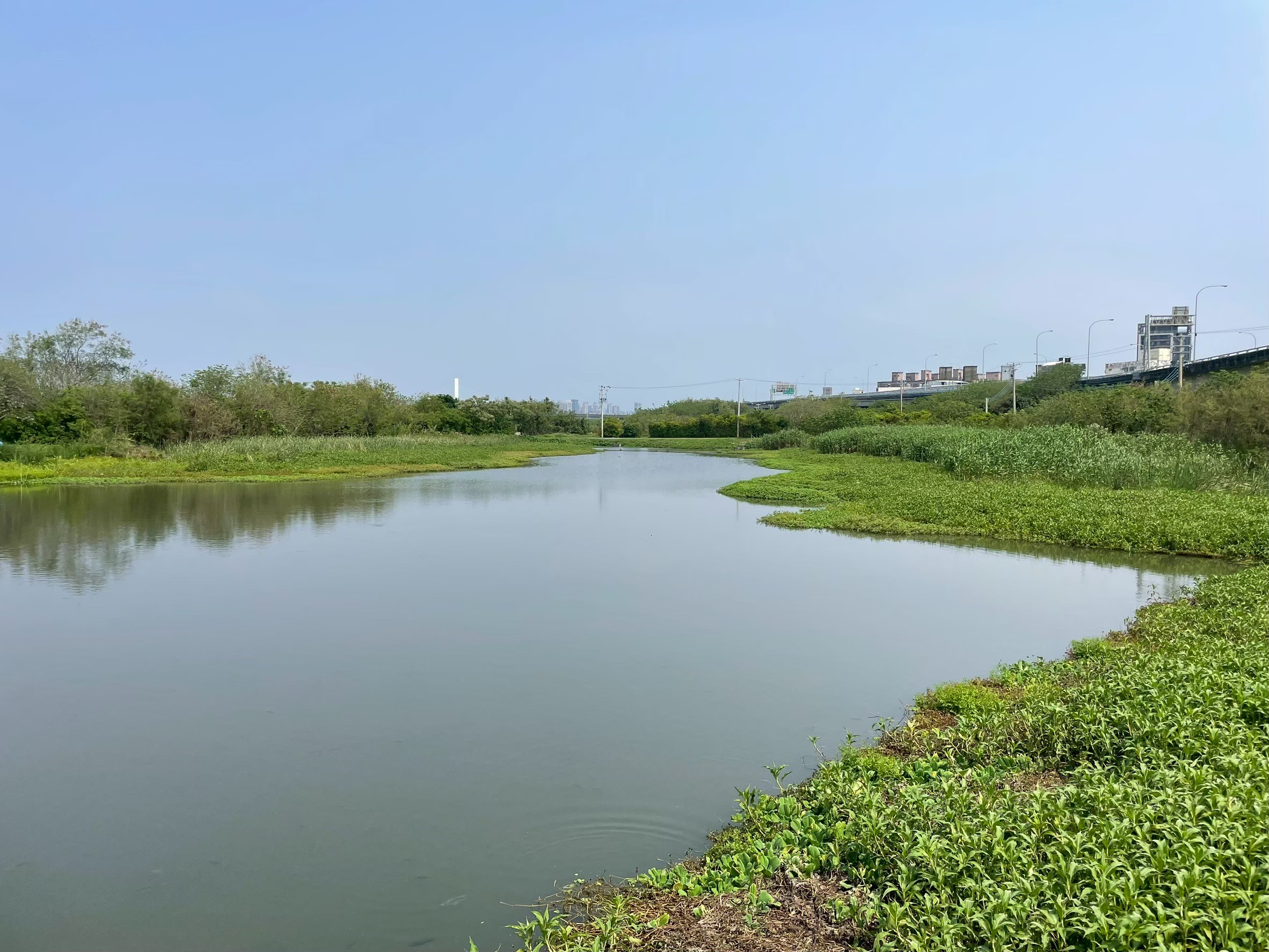 竹市溪埔子志工齊聚交流 共同守護水鳥棲地、打造永續城市生態小圖共6張，pic5