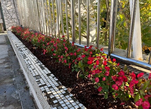 竹市ESG平台媒合竹科企業打造校園「天然清淨機」！ 高虹安市長：公私協力共築清新校園大圖