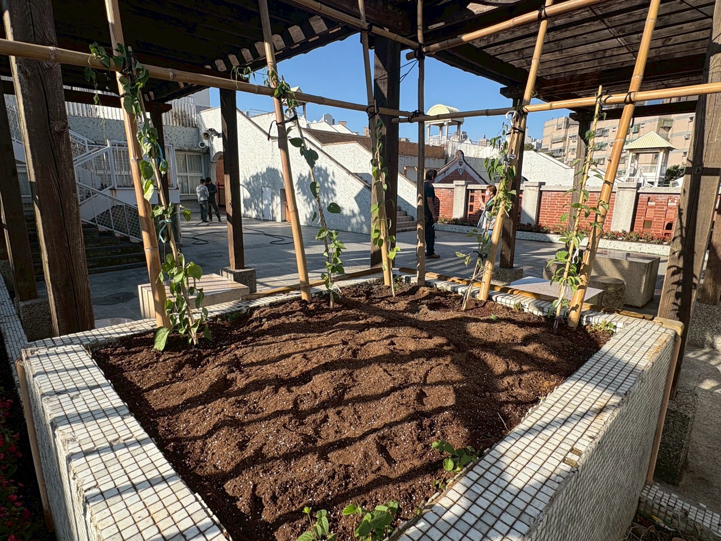 竹市ESG平台媒合竹科企業打造校園「天然清淨機」！ 高虹安市長：公私協力共築清新校園小圖共6張，pic2