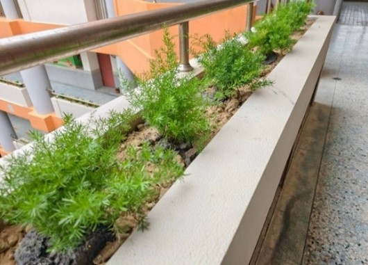 竹市ESG平台媒合竹科企業打造校園「天然清淨機」！ 高虹安市長：公私協力共築清新校園小圖共6張，pic3