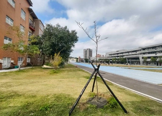 竹市ESG平台媒合竹科企業打造校園「天然清淨機」！ 高虹安市長：公私協力共築清新校園小圖共6張，pic5