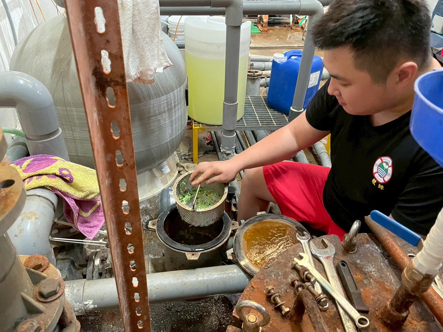 新竹市南寮溫水游泳池完成年度歲修 4/15恢復開放迎接市民小圖共6張，pic2