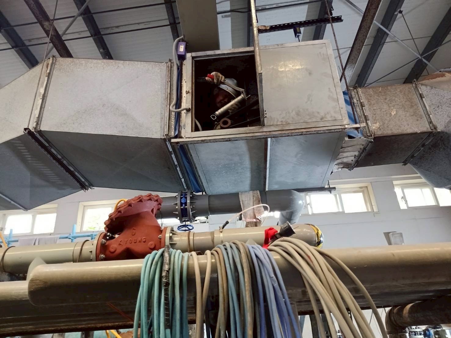 新竹市南寮溫水游泳池完成年度歲修 4/15恢復開放迎接市民小圖共6張，pic5